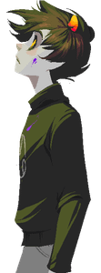 Homestuck's Photo