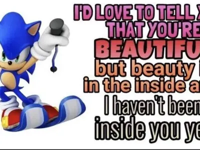 Sonic the Hedgehog's Photo