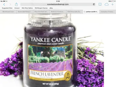 Lavender