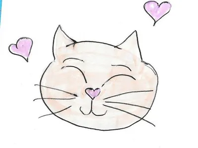 Cat!