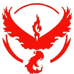 Team Valor!