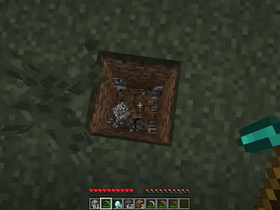 Survival