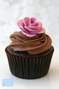 Chocolate cupcakes