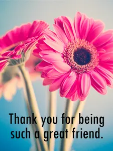 Great Friend! I like you! Comment if you want to talk.
