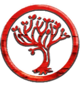 Amity