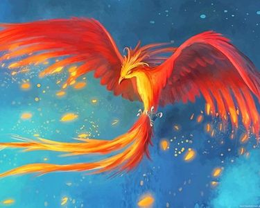 Phoenix