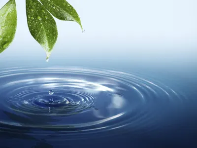 Water