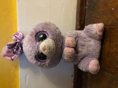 petunia