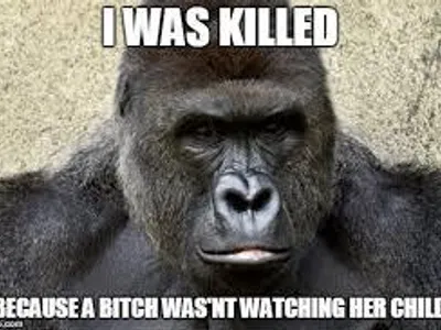 the harambe meme