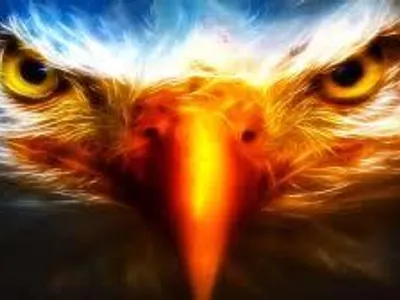 Eagle