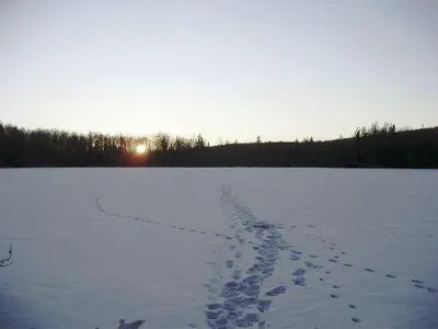 February