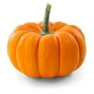 Tom the pumpkin