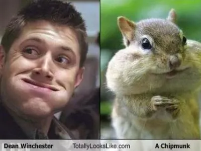 Dean AKA Squirrel