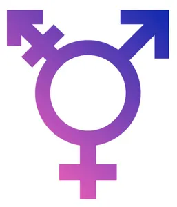 You are the opposite gender (she, he)