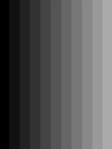 Black/grey