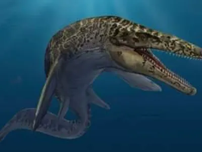 Mosasaurus