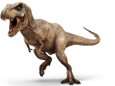 Tyrannosaurus