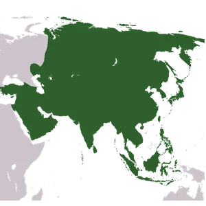 Asia