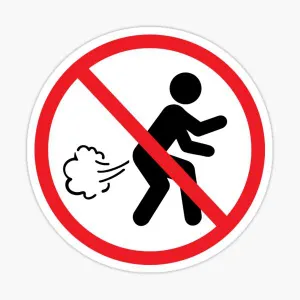 You did not fart!