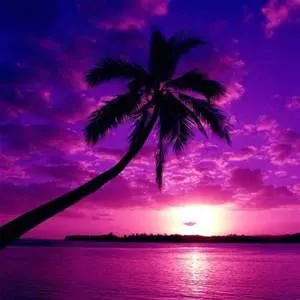 purple
