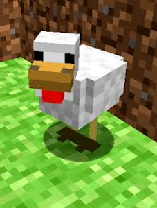 Chicken