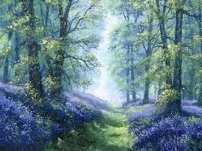 Bluebell