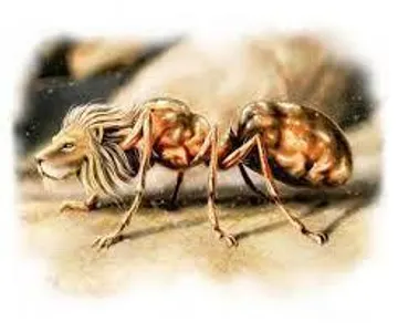 Myrmecoleon (Christian) – ant-lion
