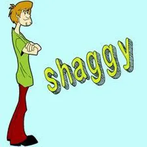 SHAGGY