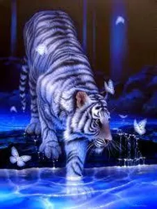 White Tiger