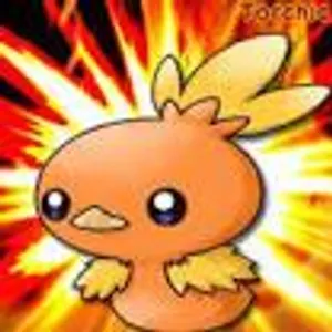 Torchic
