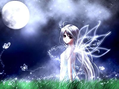 Fairy