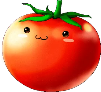 tomato