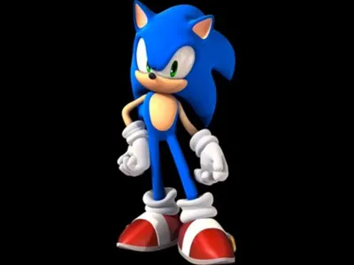 Sonic the hedgehog