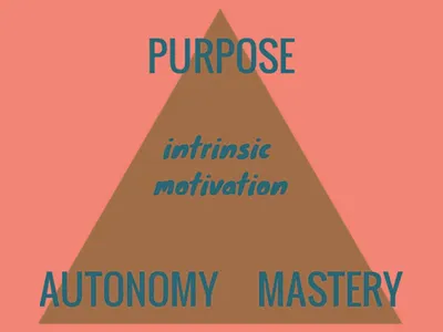 You are motivated by Motivator Factors!