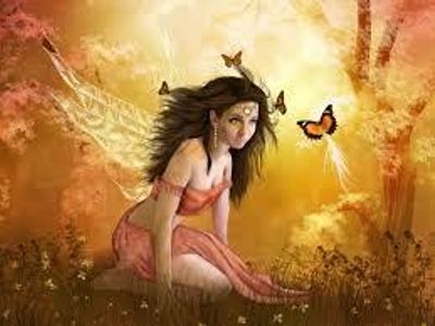fairy