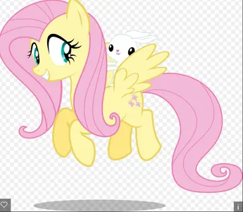 flutter shy