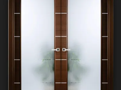 Frosted Glass Door!
