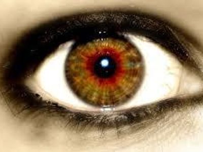 Hazel Eyes