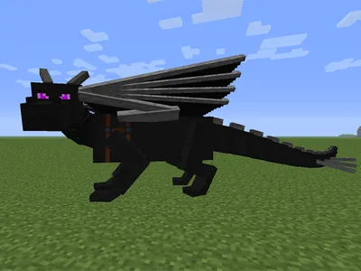 Enderdragon