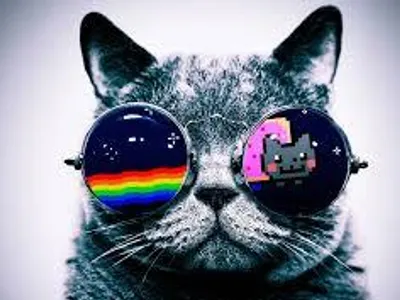 Cool Bruh