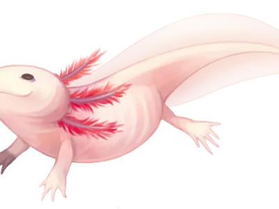 Pogmama