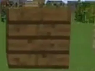 Wood (any type )