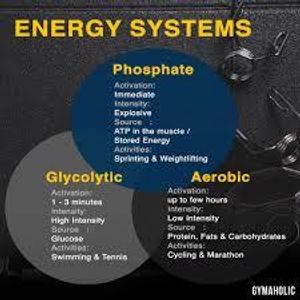 Which energy system does HIIT primarily engage?