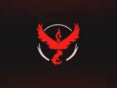 What team does this logo stand for?