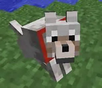 Before tamed, wolves attack if hit.