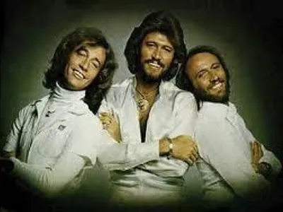 They started off as acoustic guitarists and became sensational in the 70's, who were the band of boy's?