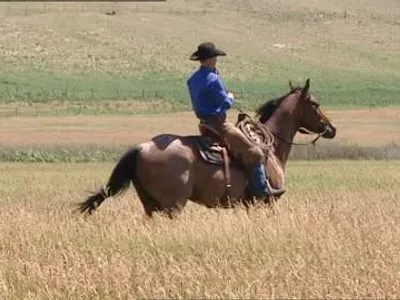 When trotting, Western riders will sink deep into the saddle and move with the horse. What do English riders do to cope with this?