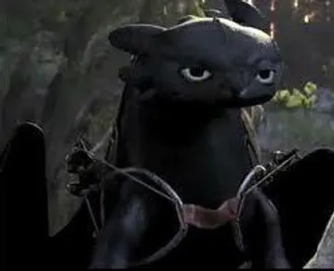 How did Hiccup get Toothless back after his dad caught him?