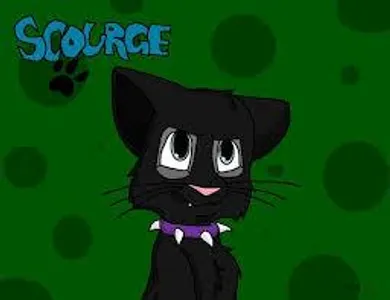 What does the eldery she-cat gives Scourge to eat?