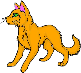 What was Fireheart(star)'s kittypet name?